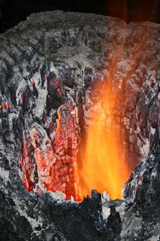 Closeup of burning tree stump - taken during a wildire/bushfire.