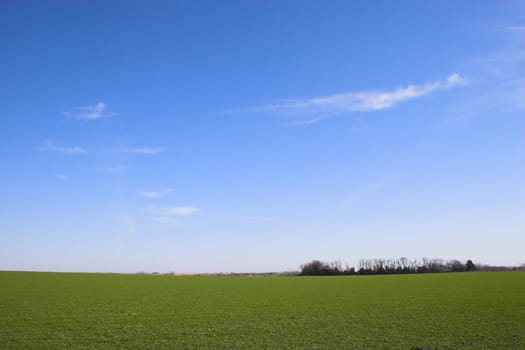 Countryside surrounded by colorful fields and meadows