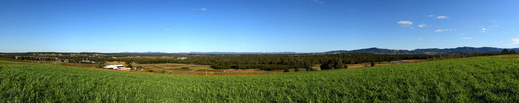 5:1 Panorama of the Hunter Valley NSW Australia taken from Pokolbin Hill