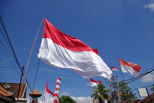 Indonesian flags on Independence day. Denpasar, Bali, Indonesia. August 17, 2010.