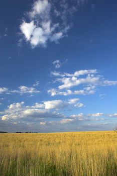 Farm lands of Lancaster county