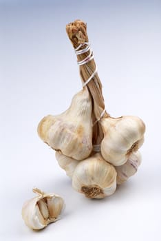 Garlic bulbs