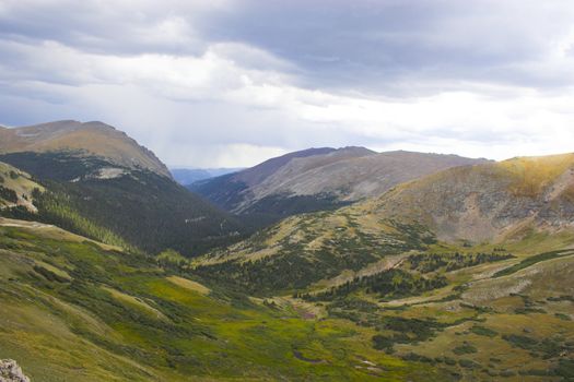 Yellow and sunny green colors of the mountains prairies forests in Cordeliers during late summer early fall