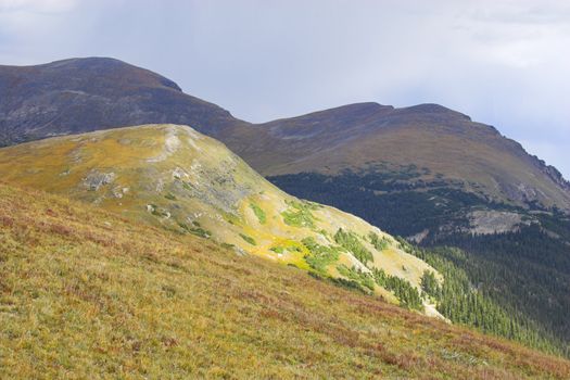 Yellow and sunny green colors of the mountains prairies forests in Cordeliers during late summer early fall