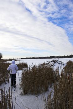 Cross-country winter skiing on the lake�s ice in Voyager National Park