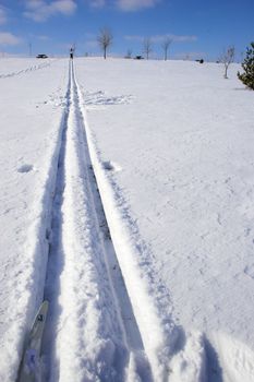 Cross-country winter skiing in Nebraska forest