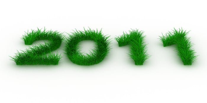 2010 year from grass. Isolated 3D image