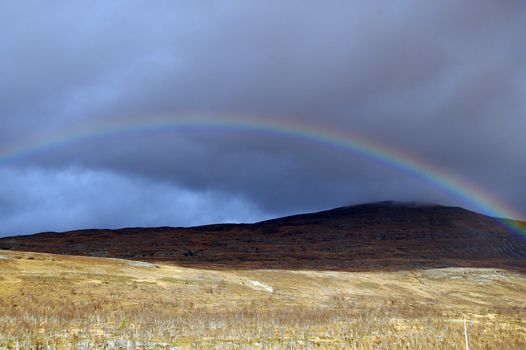 Rainbow