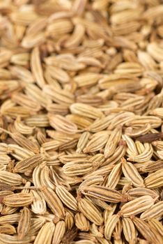 Background of dried fennel seeds with selective focus