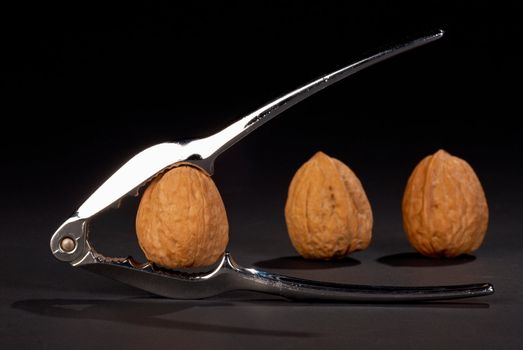 Metallic nutcracker, still life with several walnuts