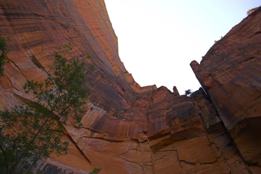 Landscapes of Zion National Park in Utah, USA