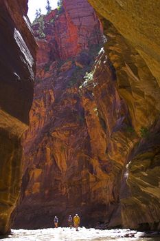 Canyons made with rivers and creeks in Zion National Park in Utah, USA