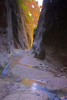 Canyons made with rivers and creeks in Zion National Park in Utah, USA