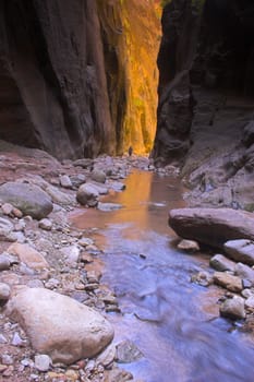 Canyons made with rivers and creeks in Zion National Park in Utah, USA