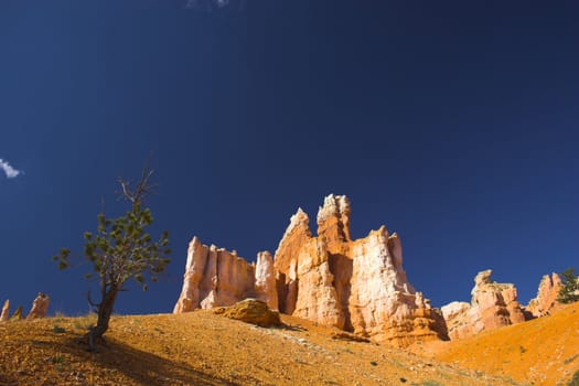 Rare rock formations of Bryce Canyon National park