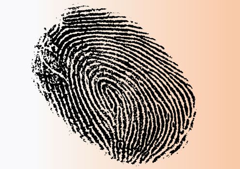 Black and White Vector Fingerprint - Very accurately scanned and traced ( Vector is transparent so it can be overlaid on other images, vectors etc.)

