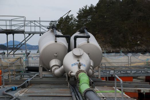 From a salmon packing plant in Norway