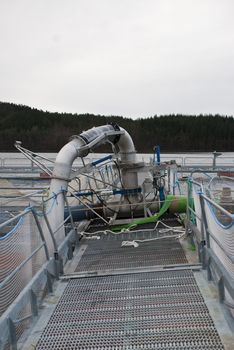 From a salmon packing plant in Norway