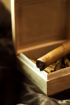 big cigar in wooden box over brown