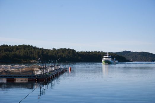 From a salmon packing plant in Norway