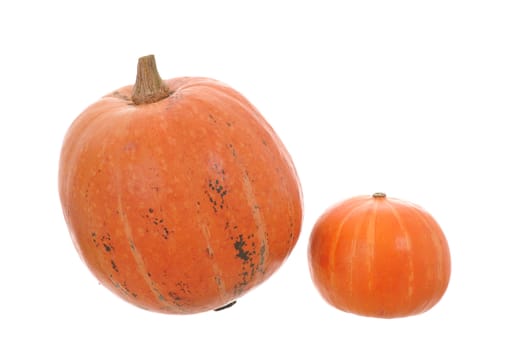 orange pumpkin isolated on white background