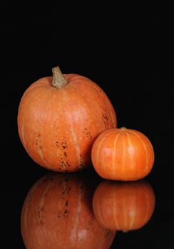 two orange pumpkin shooting on black background