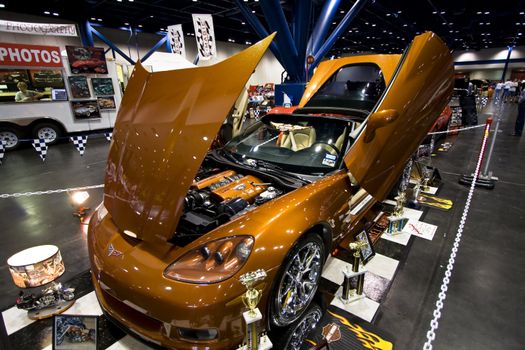 Corvettes at the 31st Annual Corvette / Chevy Expo
March 7 & 8, 2009
Houston George Brown Convention Center