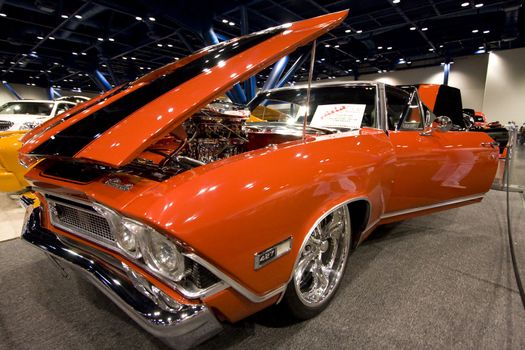 Corvettes at the 31st Annual Corvette / Chevy Expo
March 7 & 8, 2009
Houston George Brown Convention Center