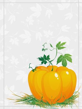 Thanksgiving, ripe pumpkin with green leaves and grass, greeting card