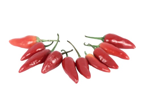 Red hot chilli pepper isolated on white
