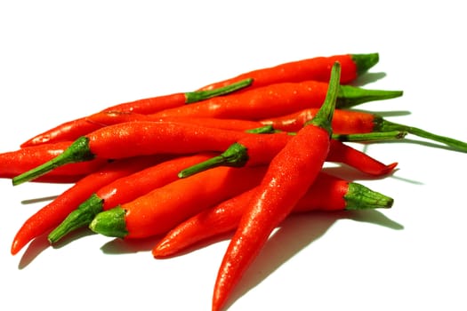 Chili pepper isolated on white background .