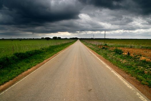 country road in a autumn/winter cloudy day