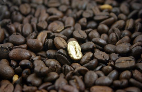 Golden Coffee Bean on a bed of normal coffee beans
