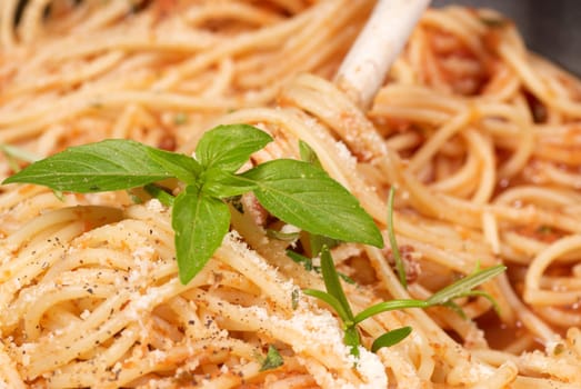 Freshly prepared italian spaghetti in tomato sauce
