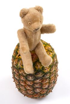 Teddy on top of a pineapple, motivation for healthy food