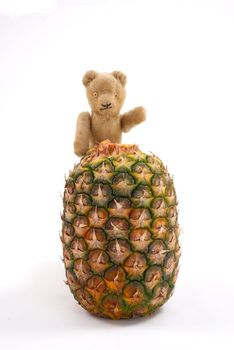 Teddy on top of a pineapple, motivation for healthy food