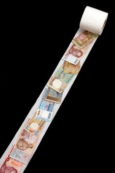 Currency on toilet paper, financial crisis concept