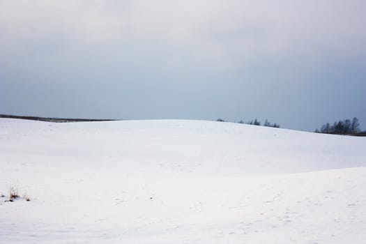 winter landscape