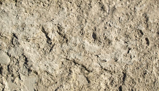 Detail of a raw reinforced concrete wall background