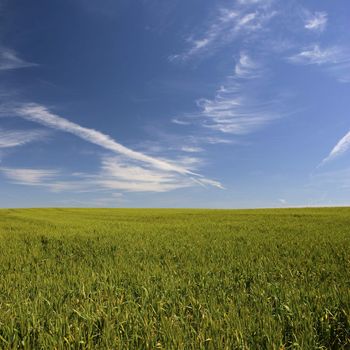 beautiful spring landscape - square format