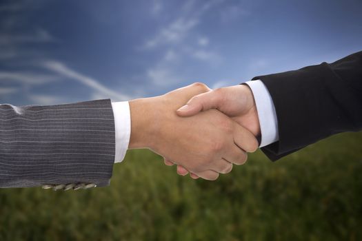 businesswoman handshake over blurred background