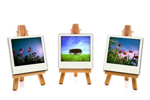 three white painting canvas holding spring photos