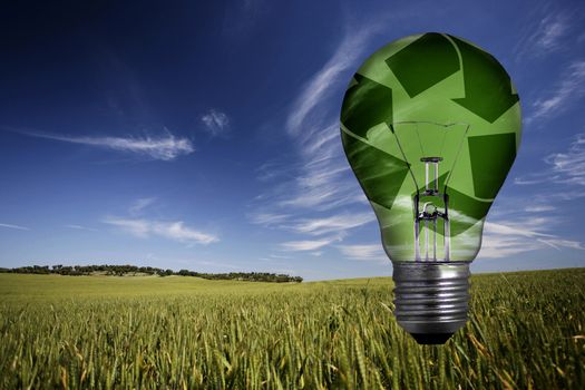 landscape with green recycled light bulb - environmental concept