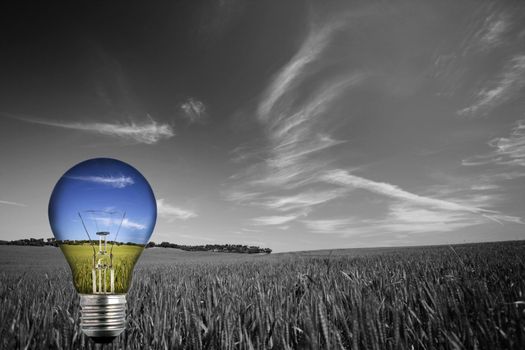 black and white landcape with colorful blue light bulb - environmental concept