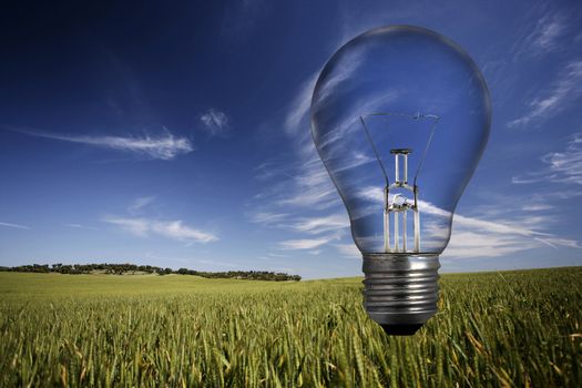 light bulb over spring landscape - environmental concept