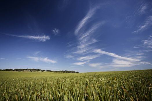 beautiful landscape behind in sunny spring day