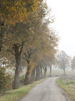 An image of a beautiful landscape with fog in bavaria germany