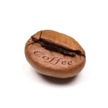 single coffee bean isolated on white background. square format.