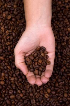 woman holding coffee beans in the hand. Portrait orientation.