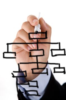 Hand drawing organigram chart in whiteboard
